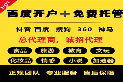 SEM竞价代运营实战技巧与案例